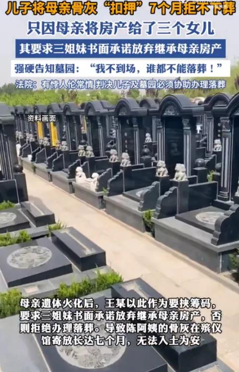 上海陈阿姨生前立下公证遗嘱，把价值几百万的房产全部留给三个女儿，没有留给唯一的儿