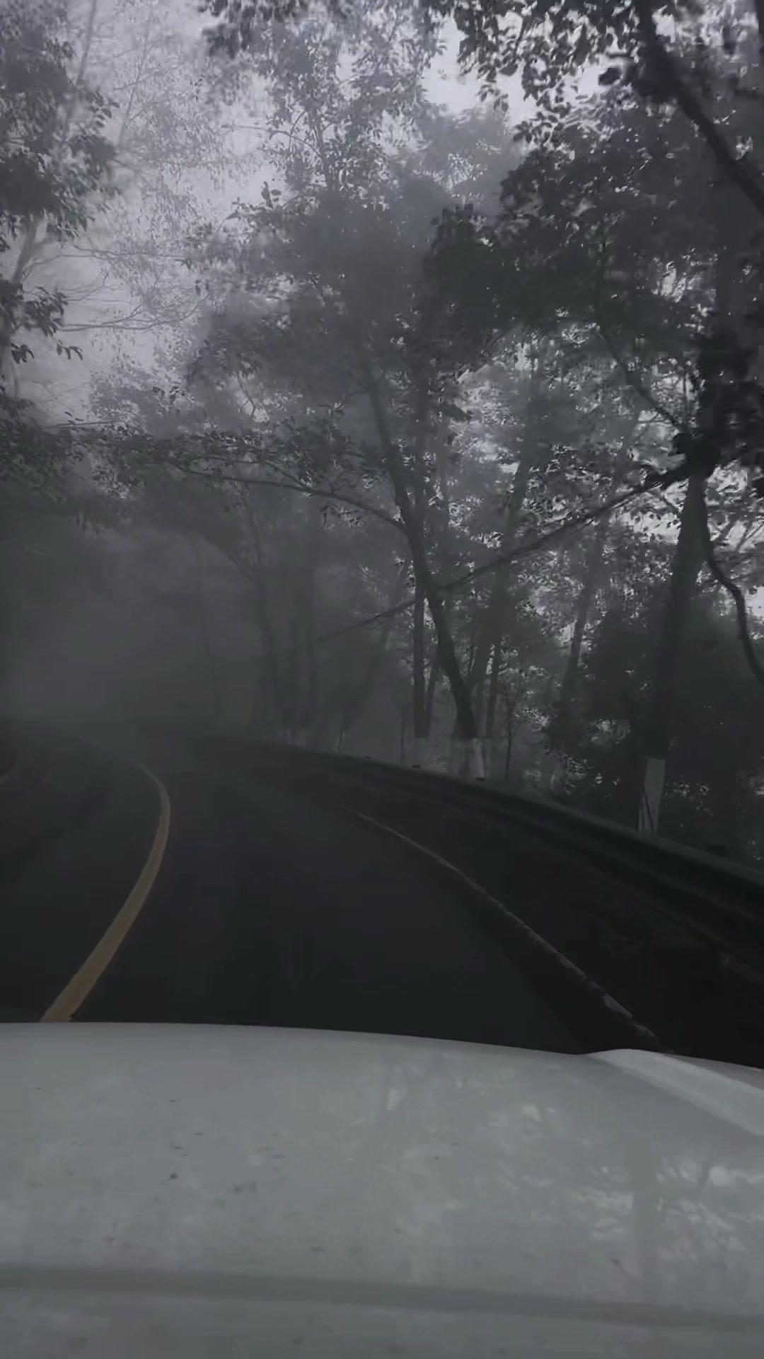 第一次在云南哀牢山晚上开车，这条路真的太考验人了！两旁是高耸的山，车灯照出去只有