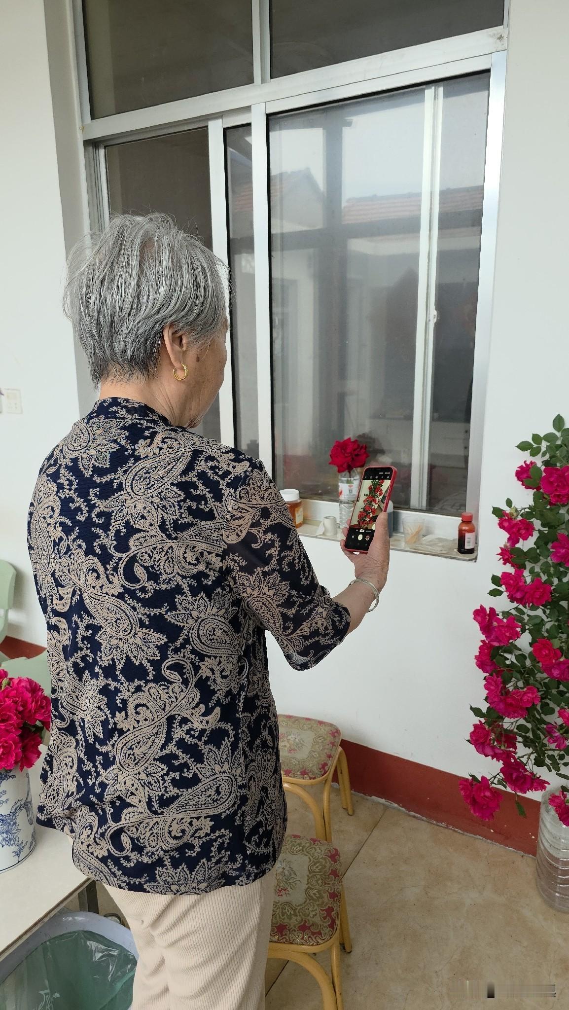 今天下午，老母亲毫无缘由地突然发烧，40度……今天早上，老母亲跟我说昨晚一夜