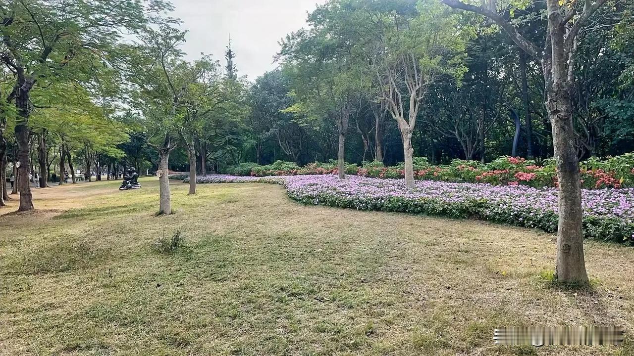 你有没有发现，身边做全职妈妈的朋友，越来越容易焦虑了？其实，这份焦虑背后有太