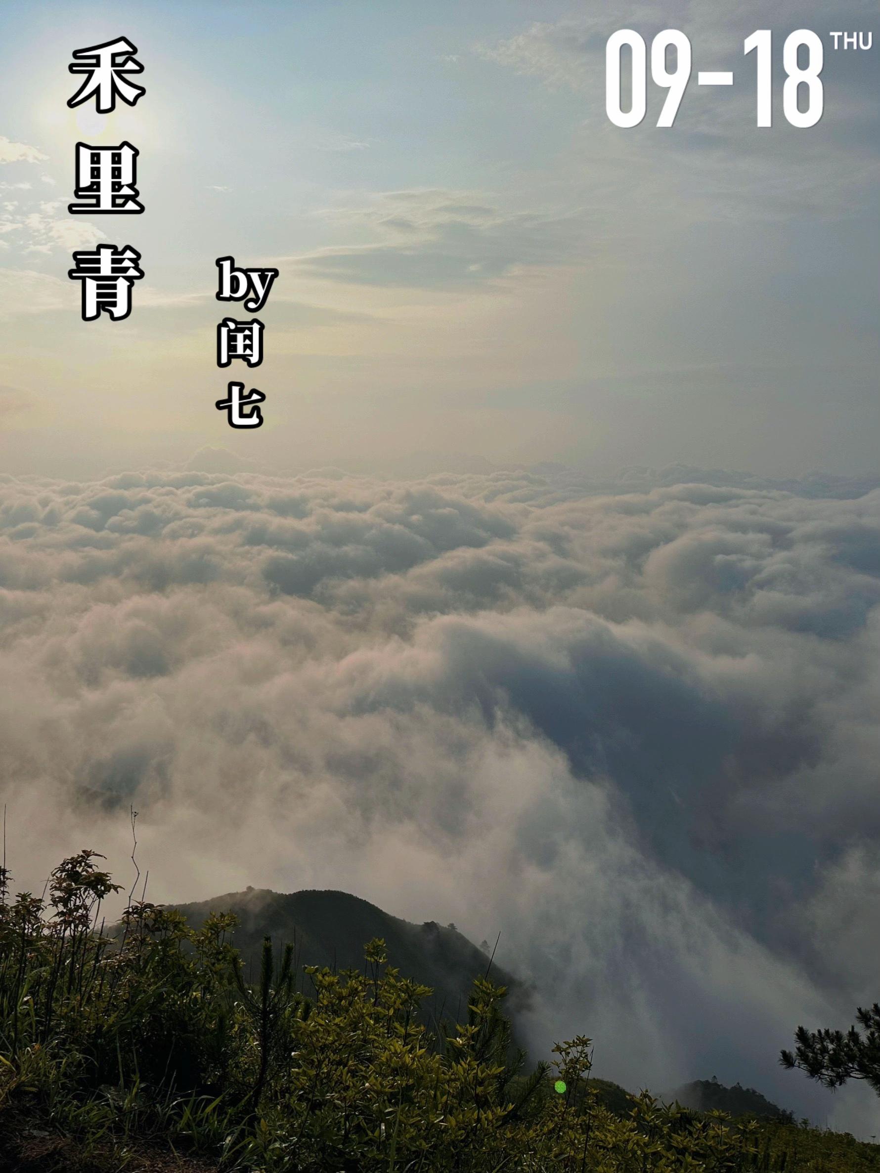 《禾里青》by闰七。禾里青（女主）七岁时被林同彰（男主）的爷爷收养，禾...