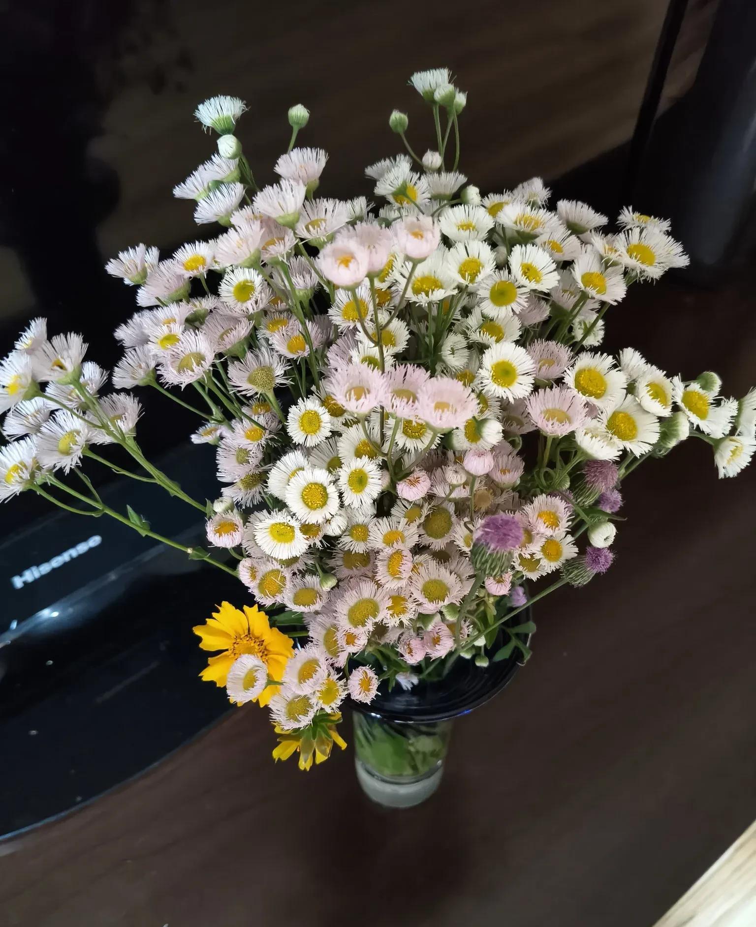 和儿媳相处不好，主要原因在于婆婆。婆媳关系是否融洽，关键在于婆婆的态度。