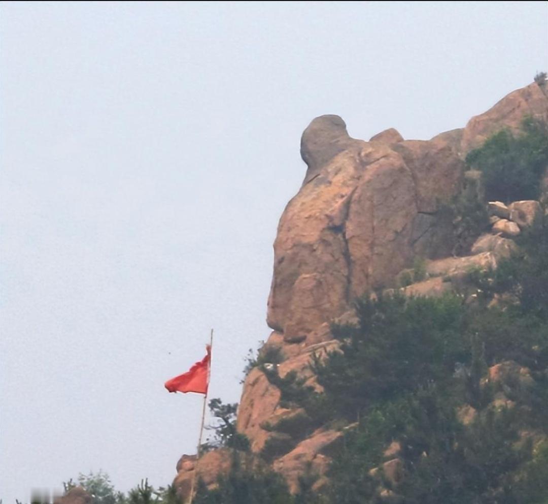 李敏和李讷一致认为，这块大石头太像毛主席了，一时间陷入了对父亲的思念。大自