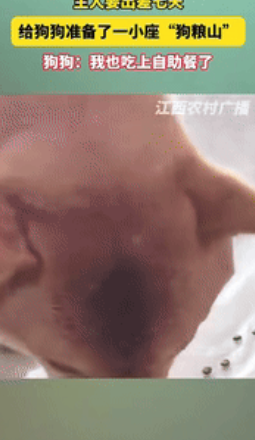 “笑岔气了！”一狗主人要出差7天，怕狗狗饿到肚子，提前给狗狗堆了一小座“狗粮山”