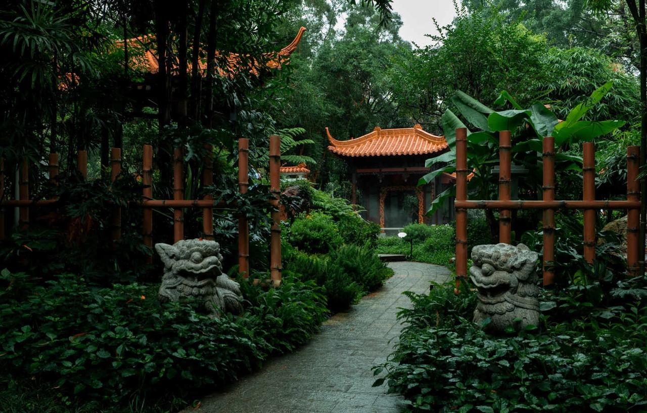 广州兰圃｜闹市秘境！偷得浮生半日闲🌿广州越秀区居然有一座老广的江南园林🌧️