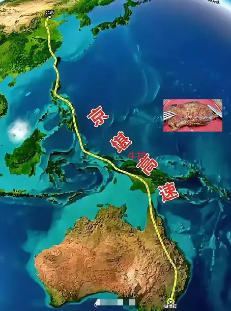 这个高速很有先见之明啊