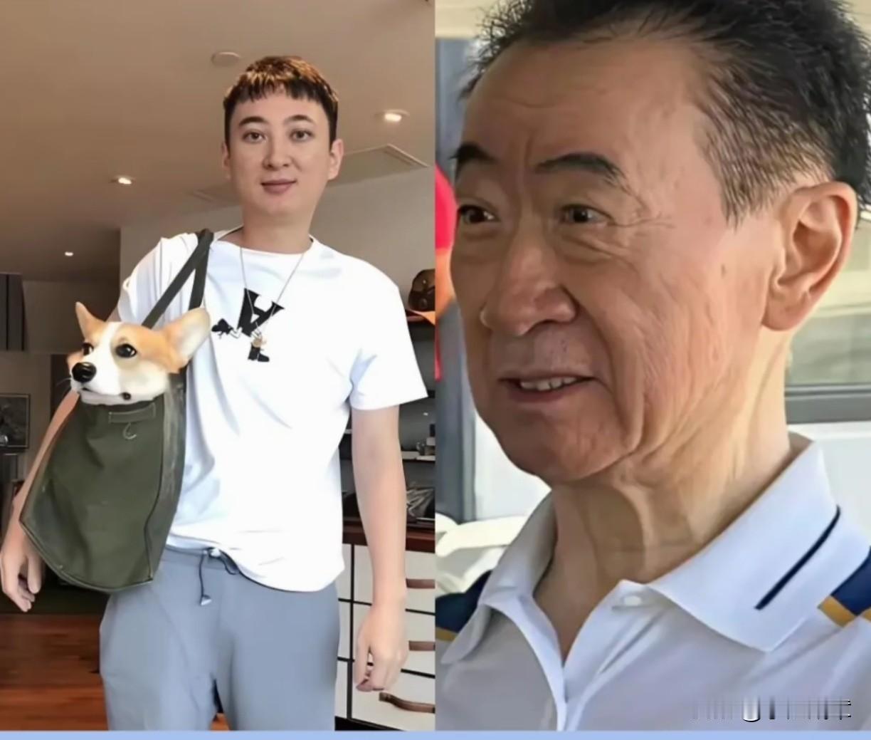 热搜第一！王健林被限高的消息，多少让人有些意外，万达下属公司和他本人，因为区