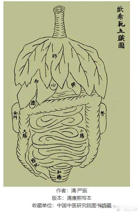 悲惨世界！《欧希范五脏图》１０４５年（宋庆历五年），在环州（治所在今环江毛南