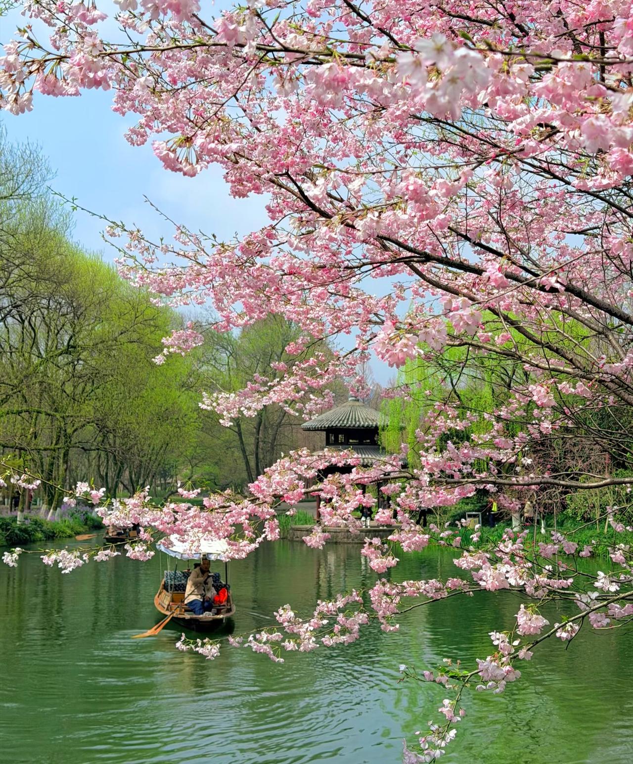 3.25丨晴天下的西湖真的美爆了！好不容易等来难得的大晴天，一大早便打车去西