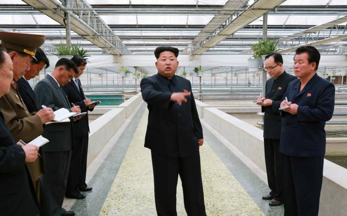 中方结束访朝之行，某些外国媒体还在阴阳怪气，事实证明，这些年中国为朝鲜的发展提供