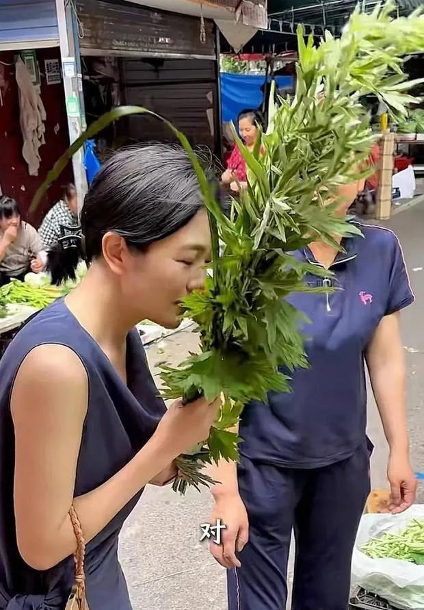 杨乐乐端午挂艾草，去菜市场买接地气，家里二胎玩具多，汪涵好福气。艾草还要和菖蒲