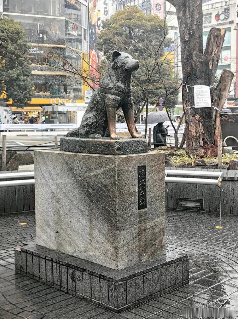 【中国女孩拍摄靖国神社内部】这个为什么经常被刻意隐去，又为什么经常被提起？