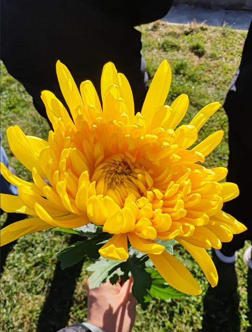 英国这下好了，巴拿马的港口被收回了和还在那高兴，现在长和把英国电网全卖了，不投资