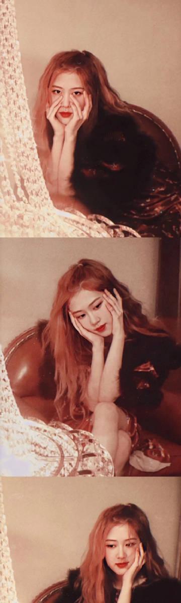 🌄Rosé朴彩英