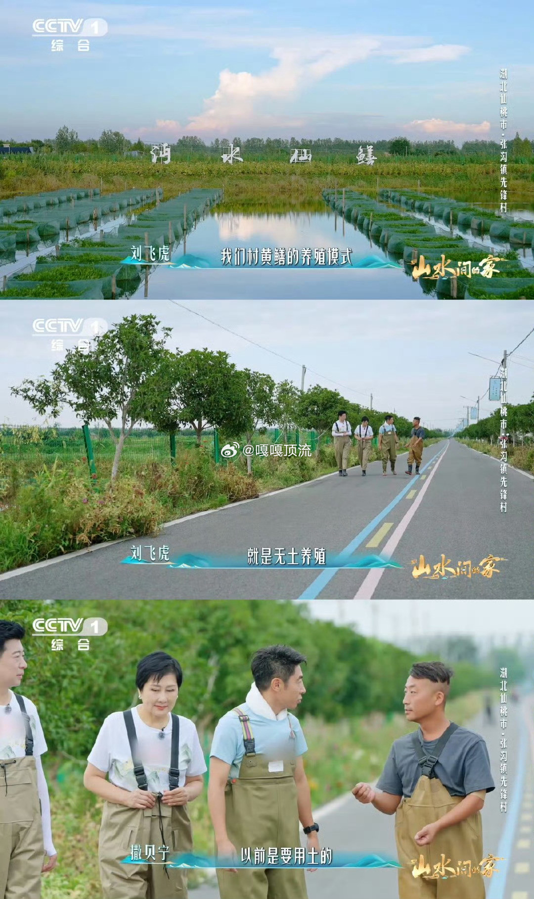 这不是抹茶蛋糕这是黄鳝的家中国乡村藏着巨型几何图案谁能想到！7500亩水域上，