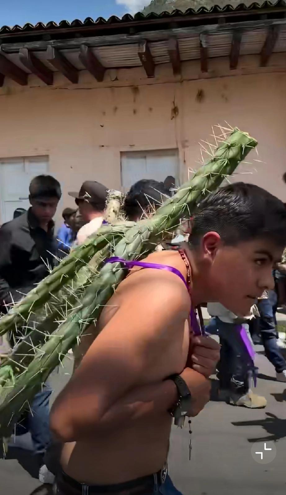 墨西哥人背负仙人掌行走祈福。这和中国古代廉颇的负荆请罪十分类似啊，不过相比荆条，