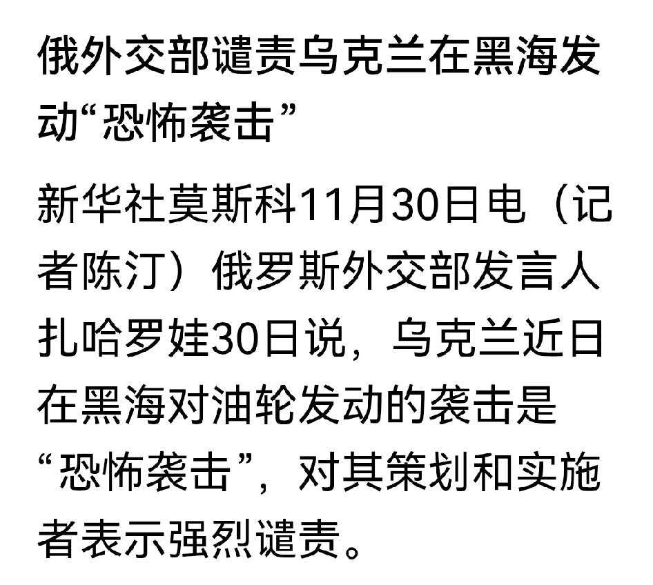 很搞笑的俄罗斯人。大帝名言：抗议一千次，不如白天鹅（轰炸机）飞一次。今天