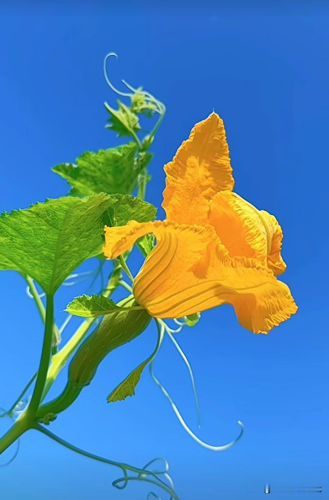 想身体不垮掉，记住这5句话：第一，熬夜是拿命点灯，灯油耗尽了，人也就灭