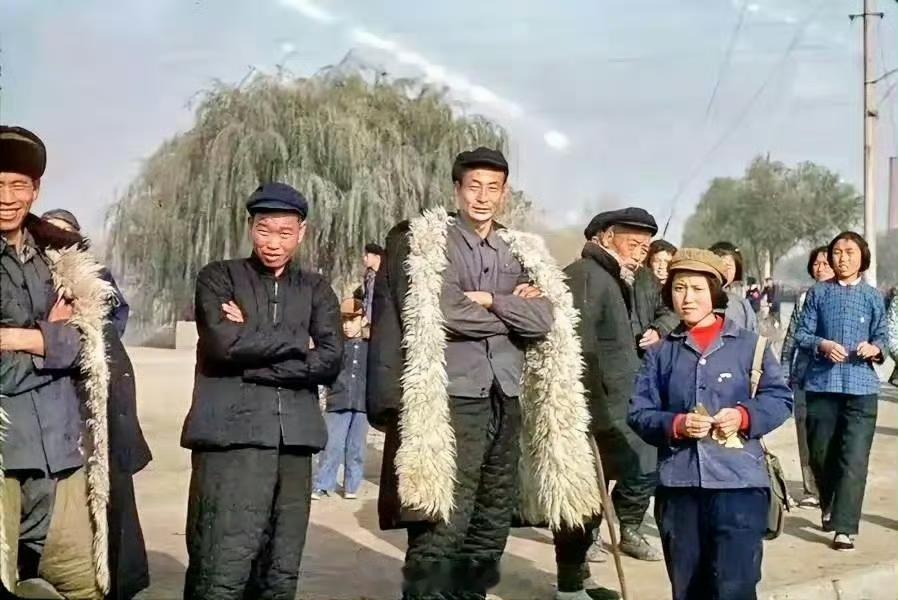 学习驾照必须刷学时！刷学时就是几个学员一起静静的坐在车上玩手机，一车四个人，后面