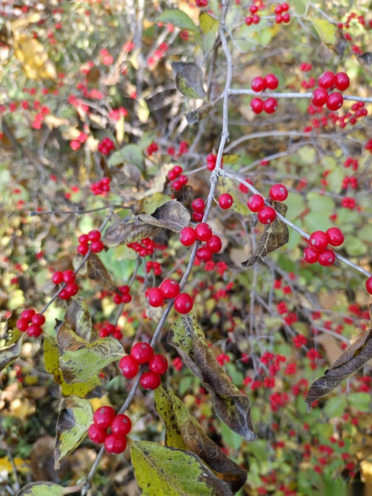 我真的，我脚趾能在地上抠出三室一厅。同事女儿二婚，请了全办公室，结果没几个人去