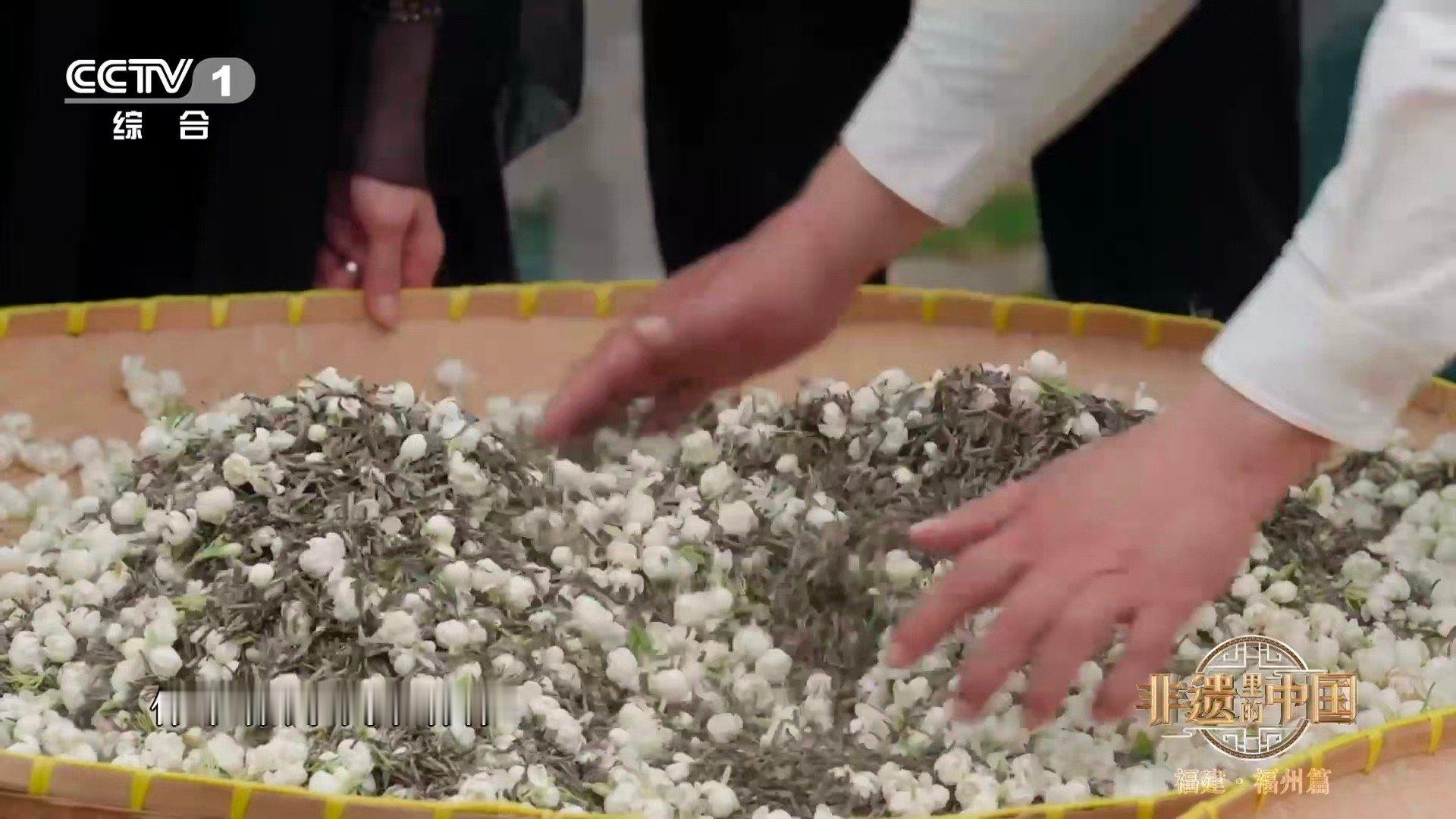 原来茉莉花也是夜猫子当茉莉在深夜绽放，千年窨制工艺正在延续。茶与花的每一次相遇，