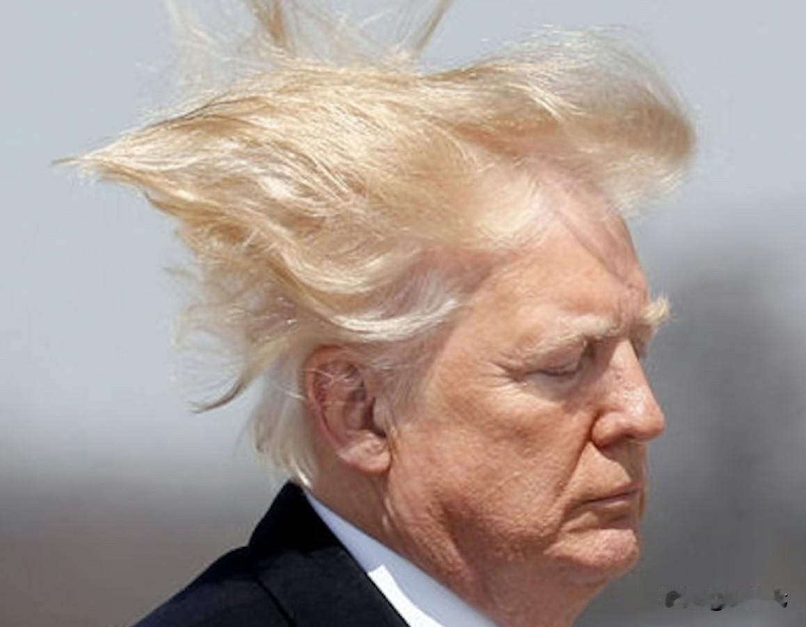 懂王为了一盘醋让韩国人包了一桌饺子，韩国成功变成“最华丽的背景板”‼️饺子还没