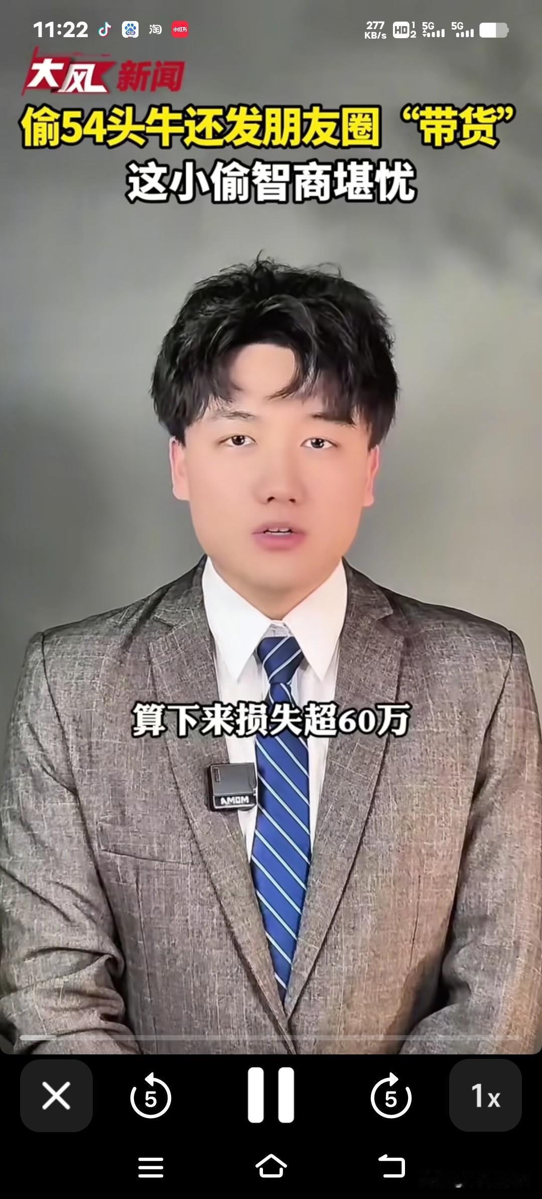 大白天偷走54头牛还在朋友圈发视频炫耀？牧民60多万血汗钱打水漂！内蒙古一个牧场