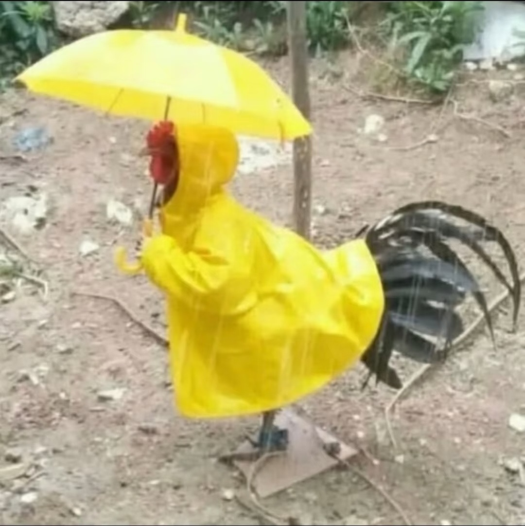 对你人生毫无意义的图片​​​