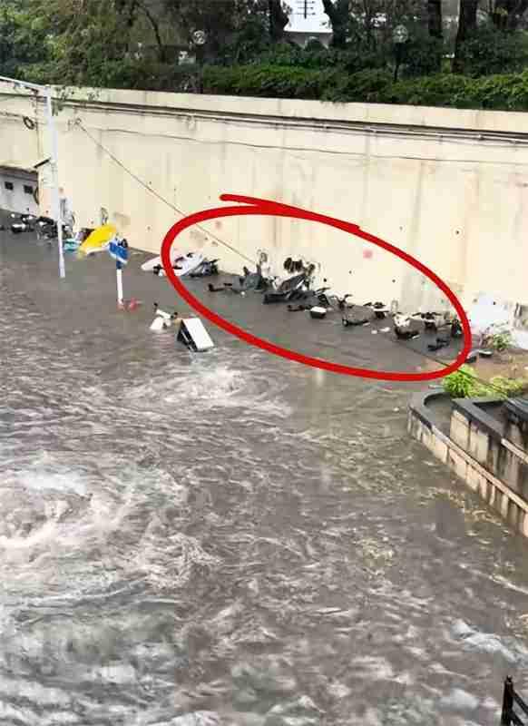 暴雨冲出来的真相，可能比积水更扎心。早上刷到广州的视频，高架桥成了流动的“