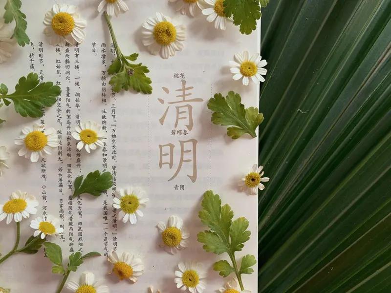 佳节清明桃李笑，野田荒冢只生愁。雷惊天地龙蛇蛰，雨足郊原草木柔。人乞祭余骄妾妇，