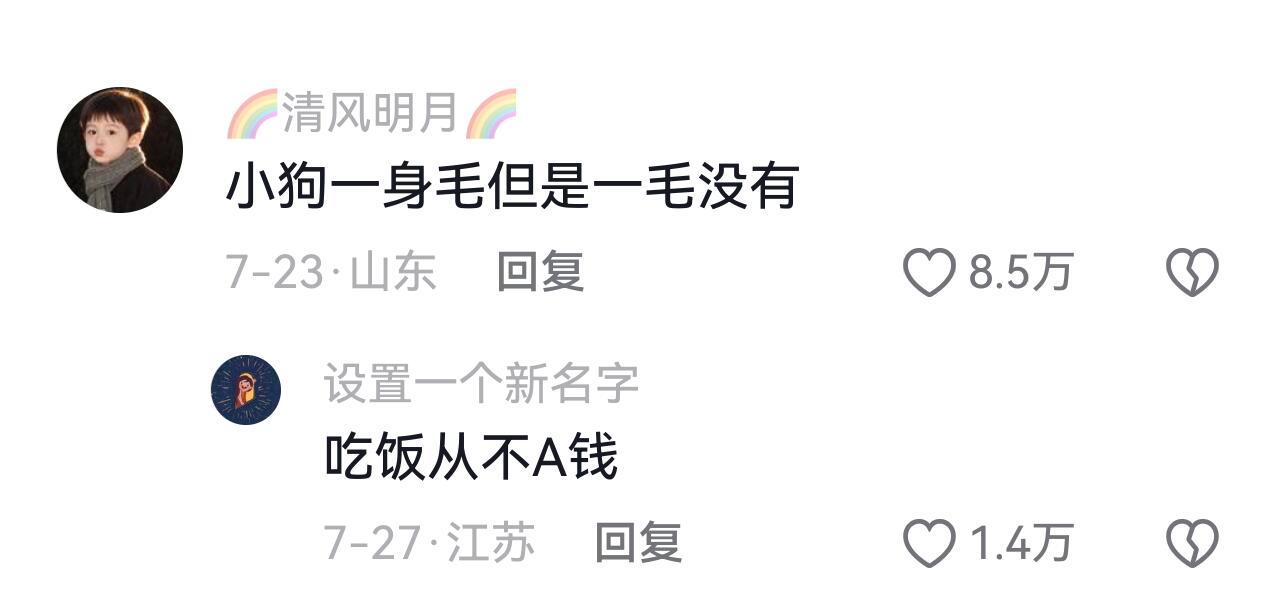 小狗没有手表，阴天以为天还没亮，但是又睡不着了小狗一身毛但是一毛没有