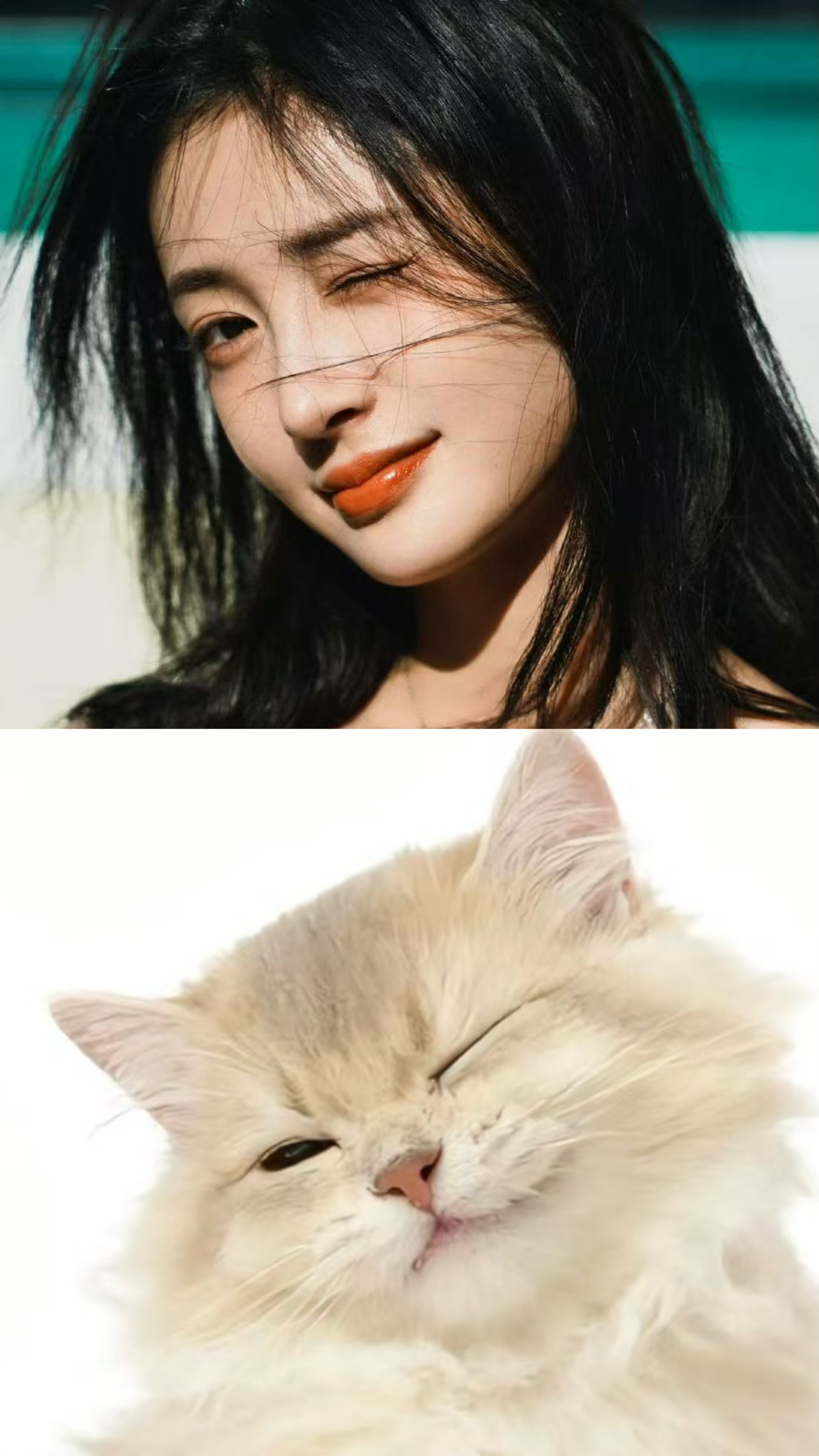 周洁琼周洁琼内娱猫系美人上新了《山河枕》这里面真的是一只小猫咪啊，不