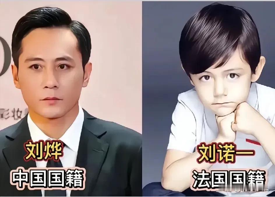 刘烨加入了外国国籍。王宝强加入了外国国籍。李小鹏加入了外国国籍。赵文卓加入