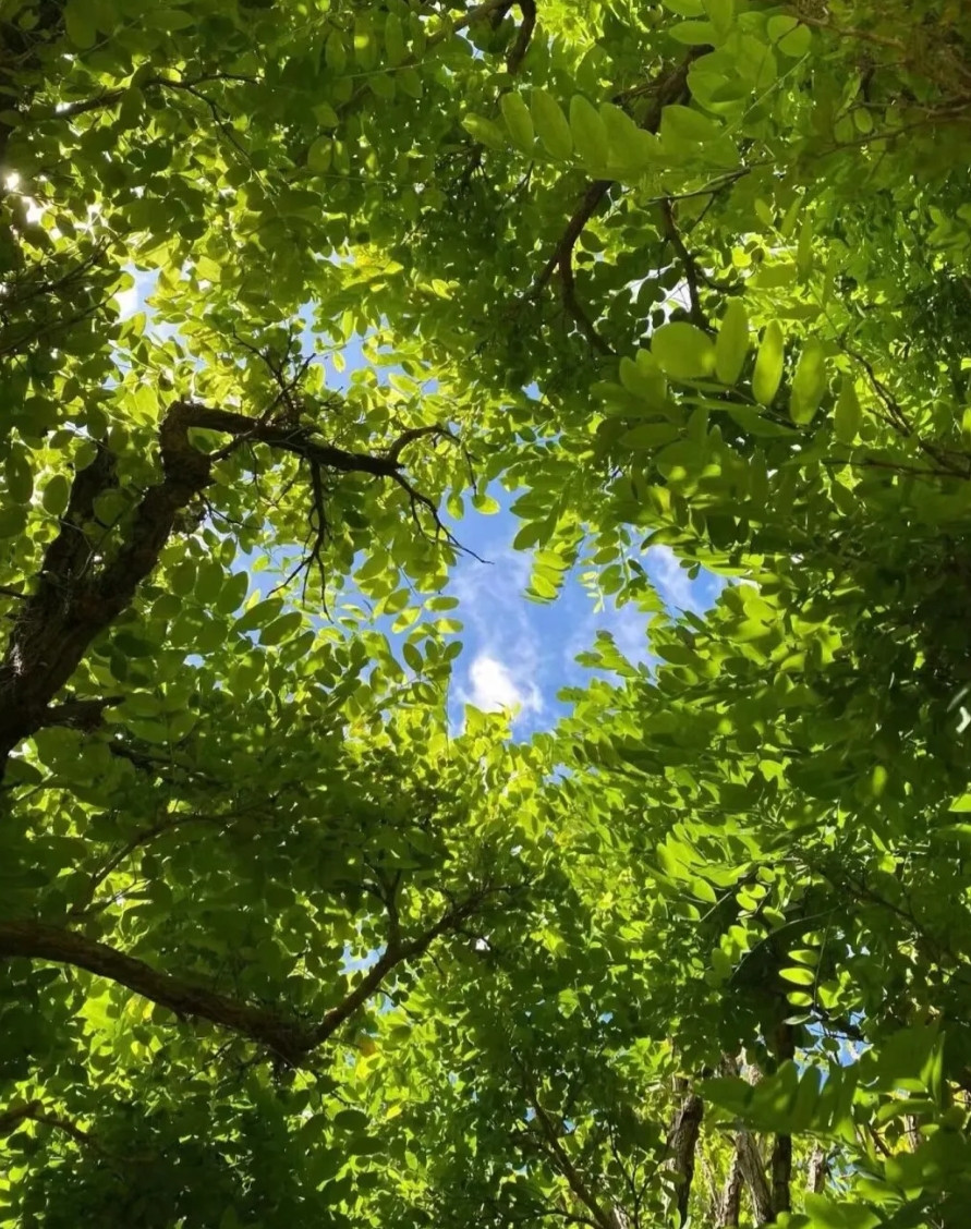 今年真的不好混？这话早就不绝于耳了。好多人都说，休息时间多了，消费却跟着降级