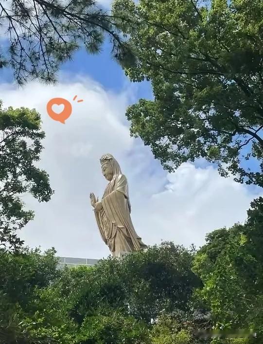 通知一下大家好有个心理准备。今天8月23号，终于到了今年40天超长三伏的最后