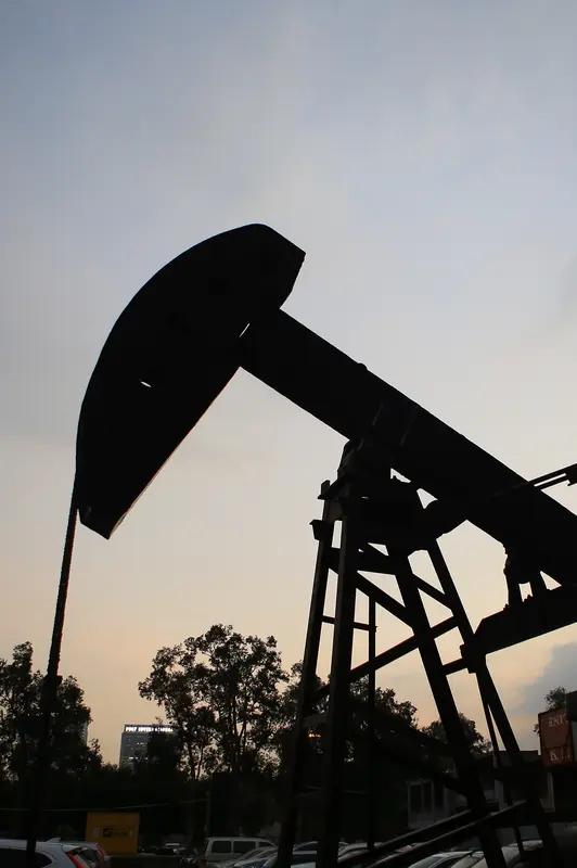 服装行业和原油煤炭的关系还挺深。石油是合成纤维的主要原料，像涤纶、锦纶等，原油价