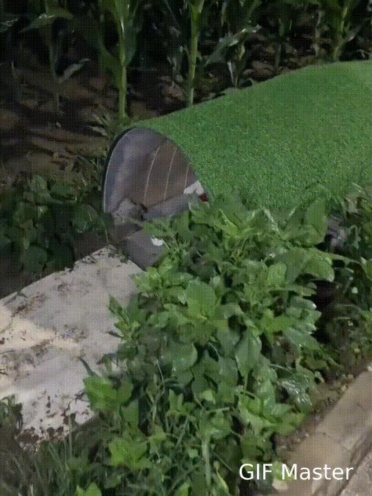这群小猫咪雨天窝在棚子里睡大觉，也太惬意了吧！这些流浪猫以前遇上刮风下雨，只能找