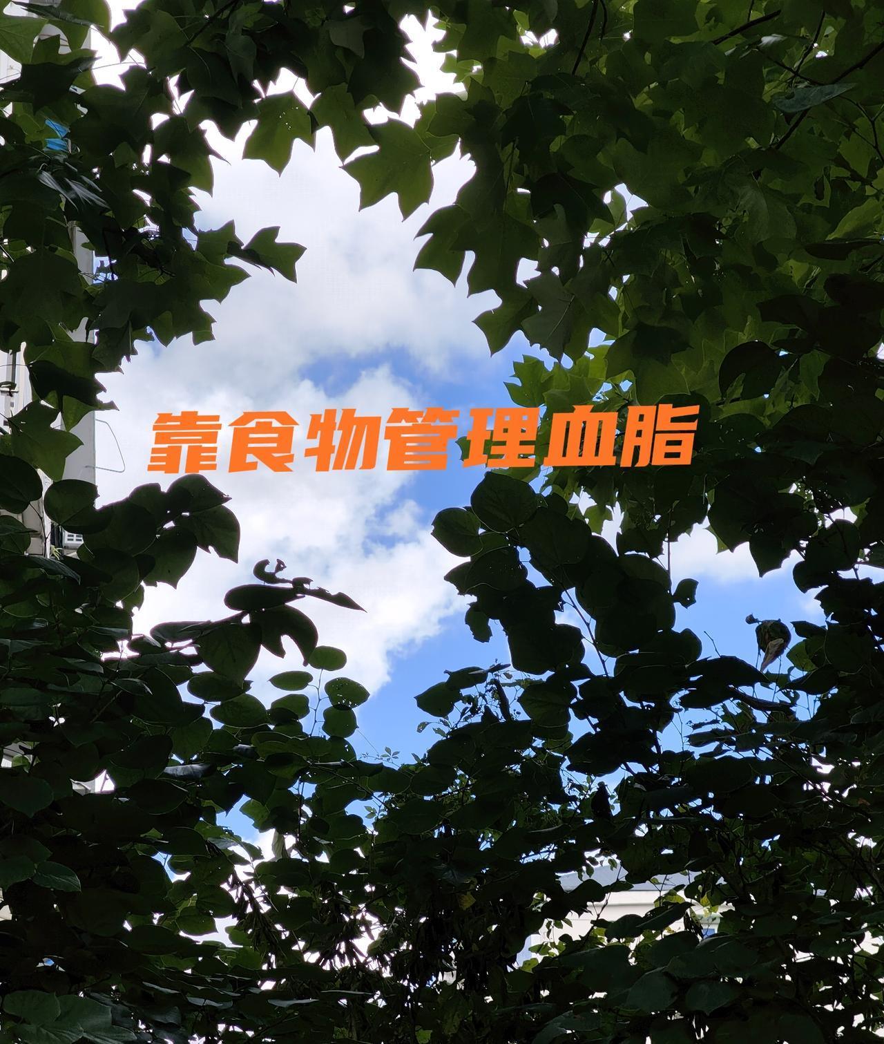 常年吃降脂药的人，身体里至少有五个地方，正在被悄悄改写。①干净转氨酶悄悄冒烟