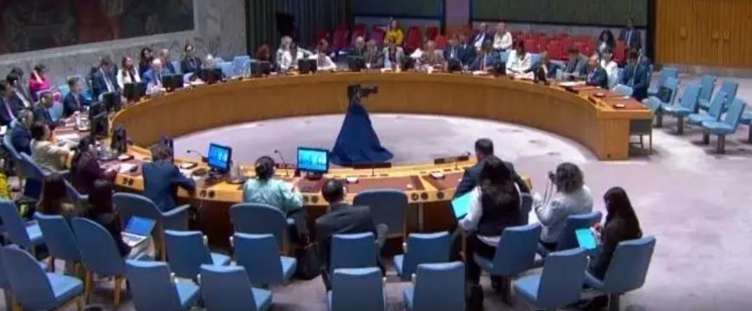 印度外交部9月14日发布消息，外长苏杰生在新德里金砖峰会结束后表示，尽管