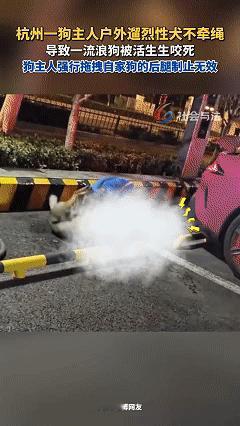必须严惩！近日杭州拱墅区，女子晚上回家，刚把车停好，突然听到一声惨叫的狗叫，女子