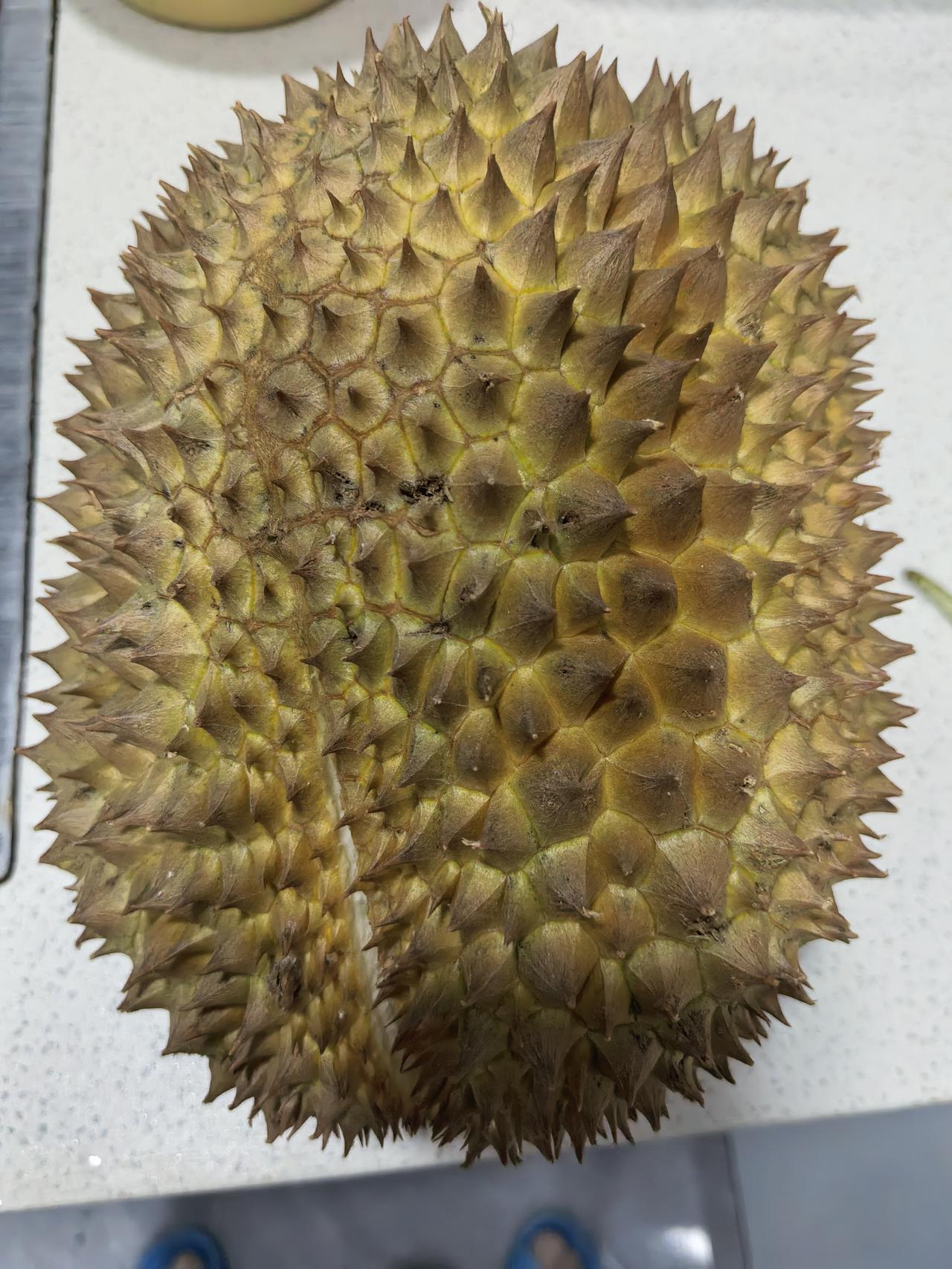 朋友送我一个金枕榴莲，带壳6斤不到一点点。能出多少肉呢？我小心剥开，5房肉，