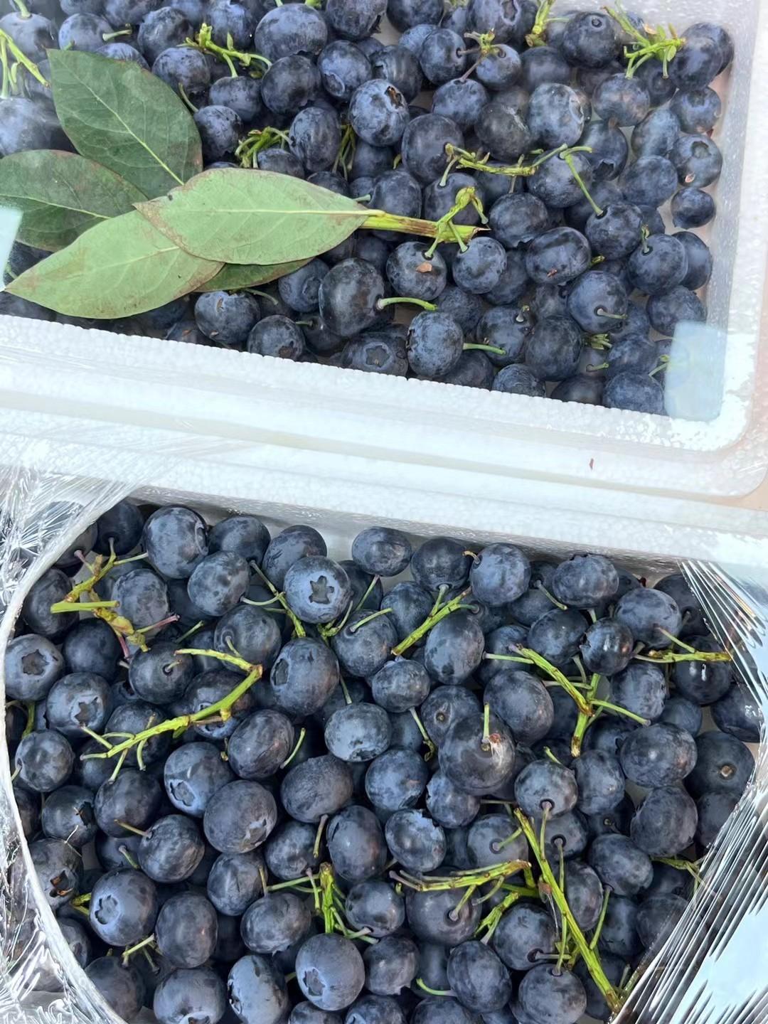 美国为什么打不开日韩的消费市场吗？当日本超市里一公斤和牛卖到800元、韩国进