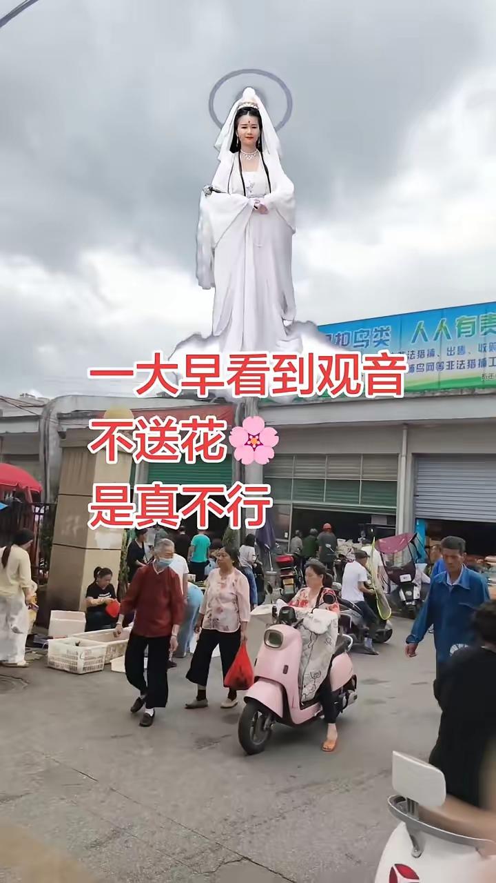 一大早看到观音不送花是真不行。清晨出门或是途经寺庙、路边观音造像，不少人匆匆看