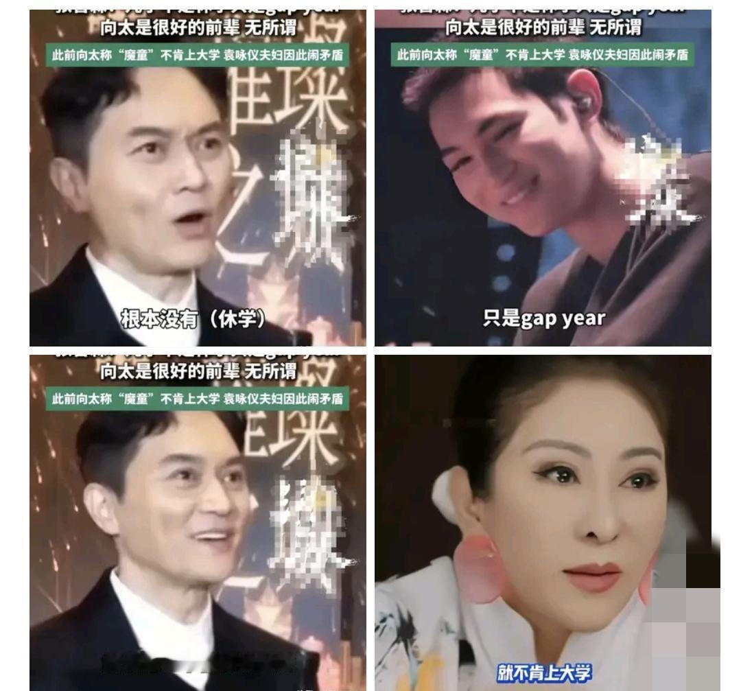 张智霖不批评陈岚，还说大家都是朋友，就算她说了张慕童不想上学的事情，也没所谓，真
