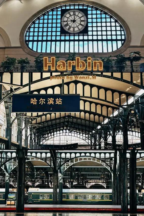 留学的女学生，真的是回国难了。尤其不是名校的。她们都被打上了三通一达的名。学习