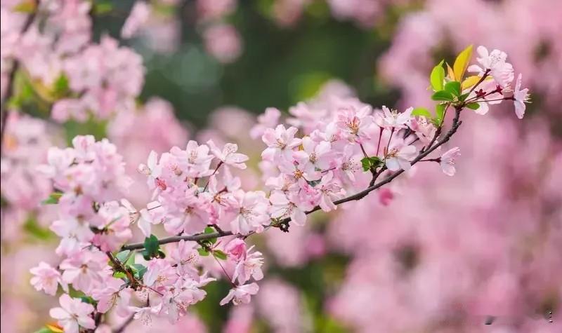 复旦大学的梁永安教授说：“人到了六十多岁，能月月领着养老金，最明智且最该练会的本
