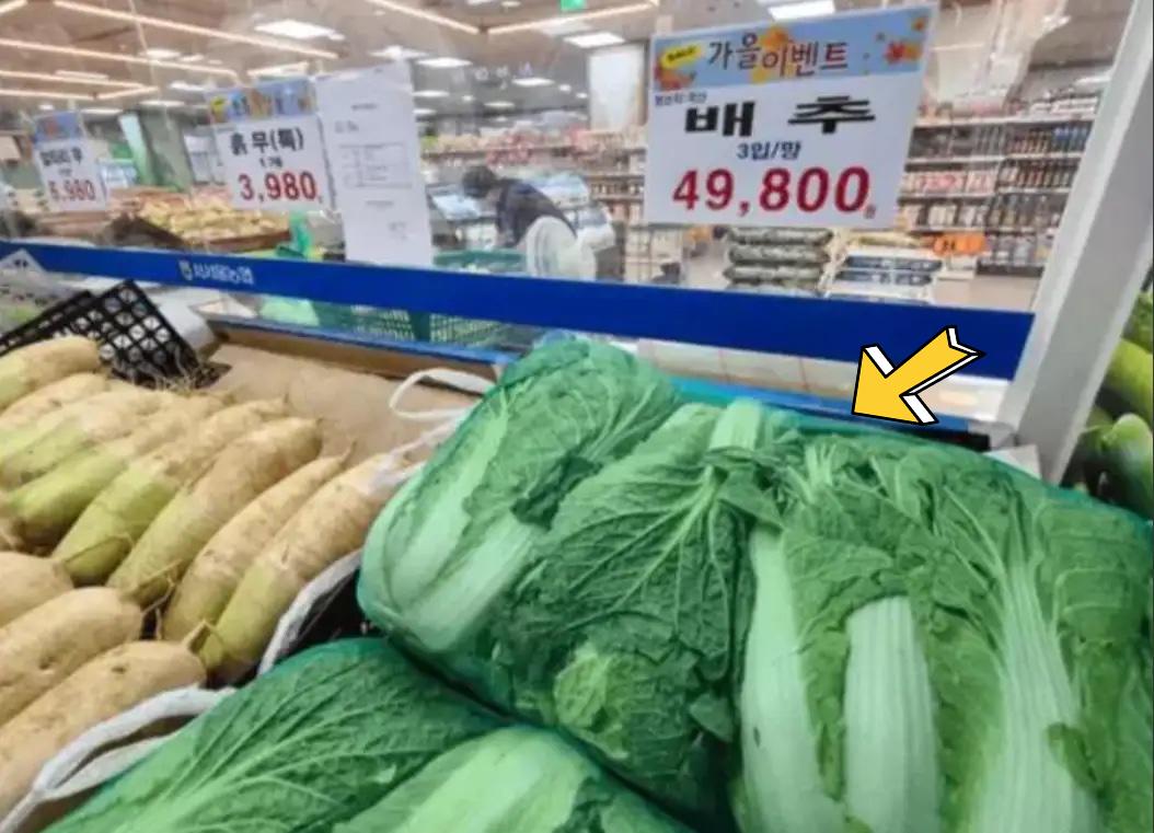 韩国某智库称:“既然中国可以拒绝进口美国大豆作为反击手段,韩国也可以不买中国的大