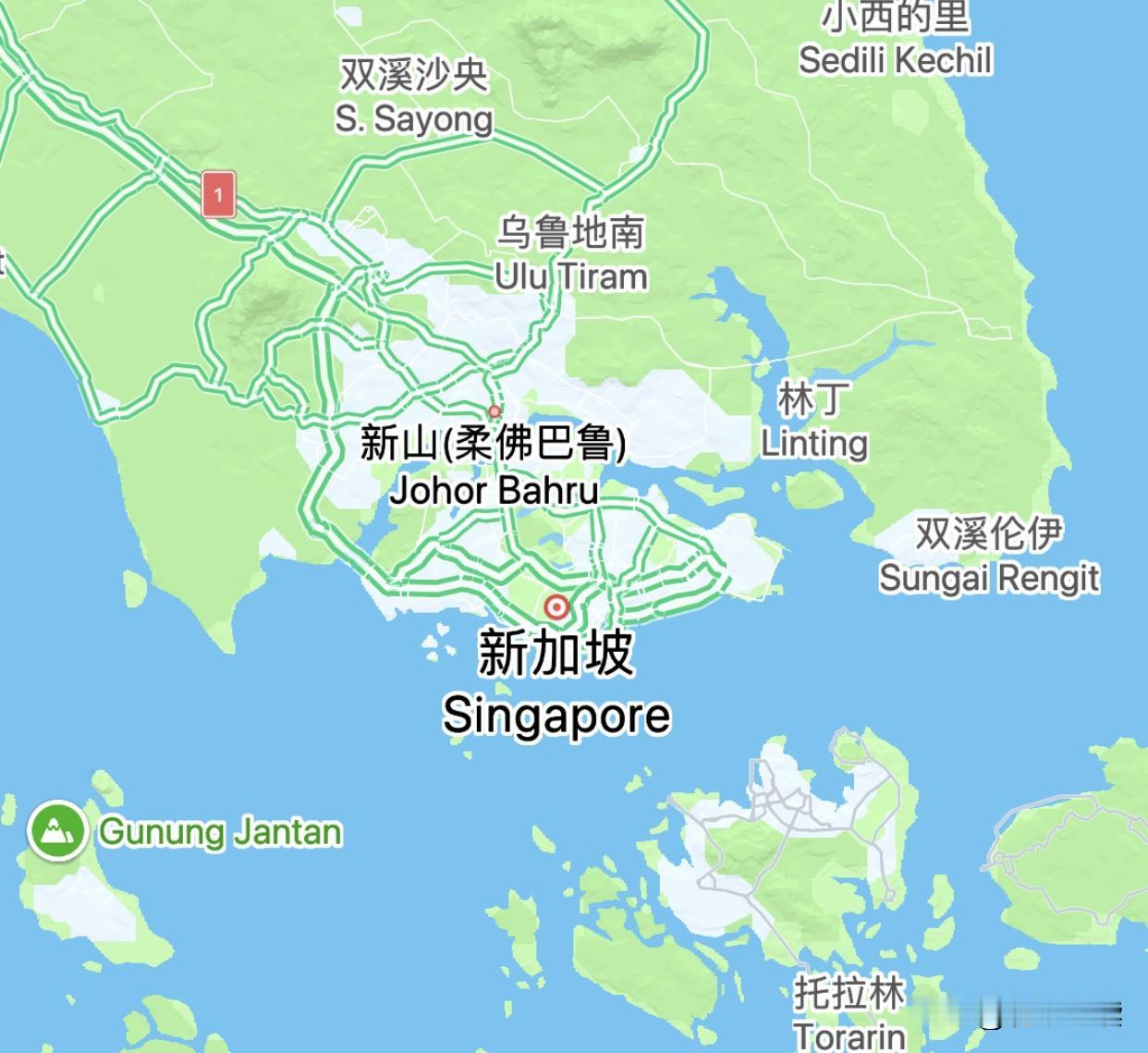 我不喜欢新加坡，它是骑墙派！忘了根的华人，比外族更懂怎么伤害同胞。它的种种作