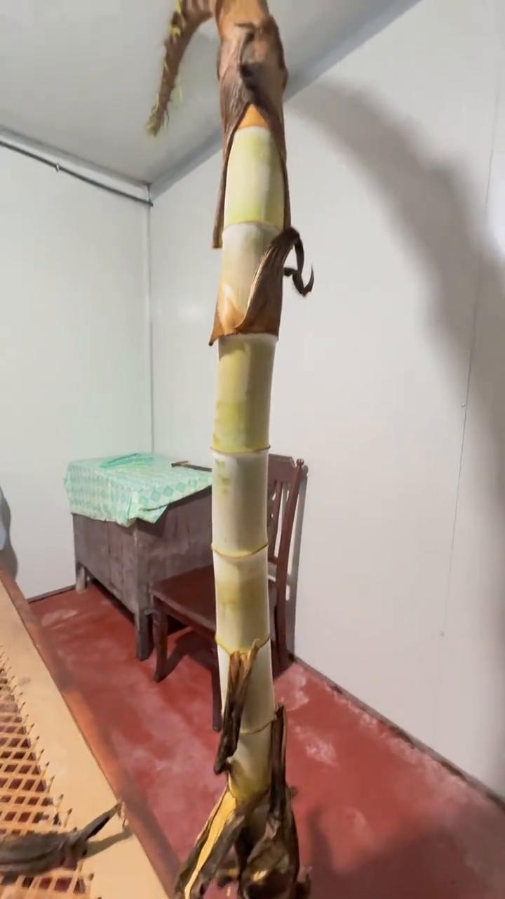 你瞅瞅，这，我的，你瞅瞅，你瞅瞅。