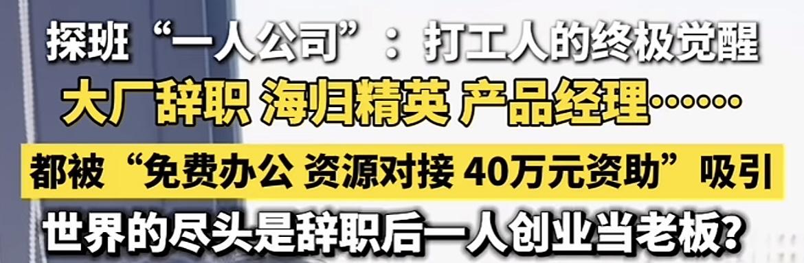 利用AI辅助，开办了“一人公司”。网上看到报道，杭州那边有一些人利用AI创办